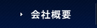 ЊTv